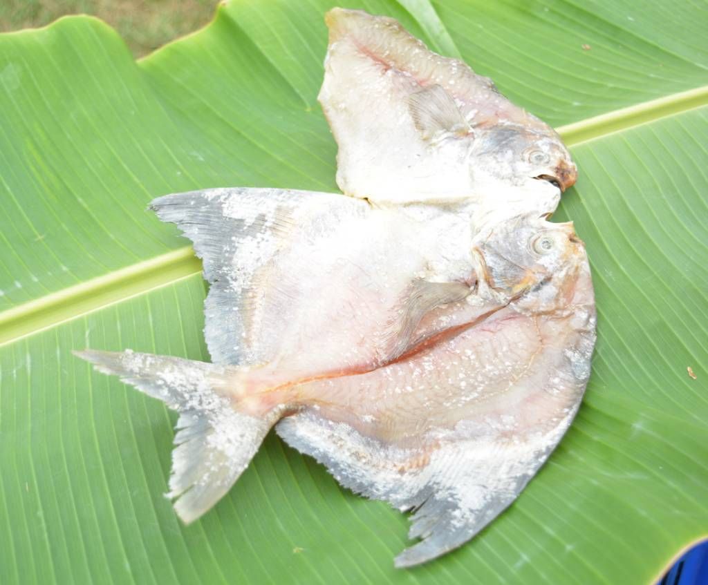 Large Rupchanda Shutki  Shutki (Organic) - 1 kg