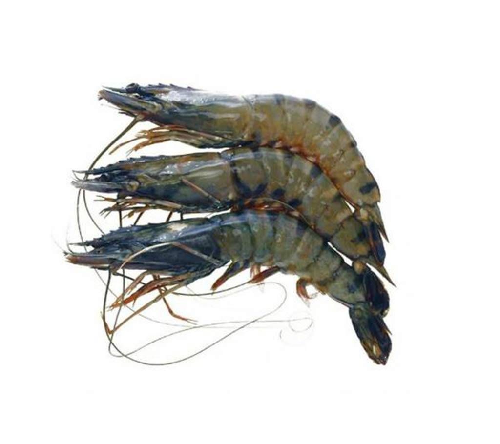 golda shrimp- 1 kg 