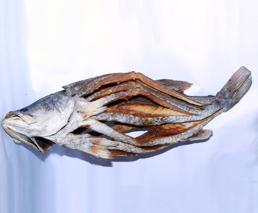 Coral Shutki - 1 kg
