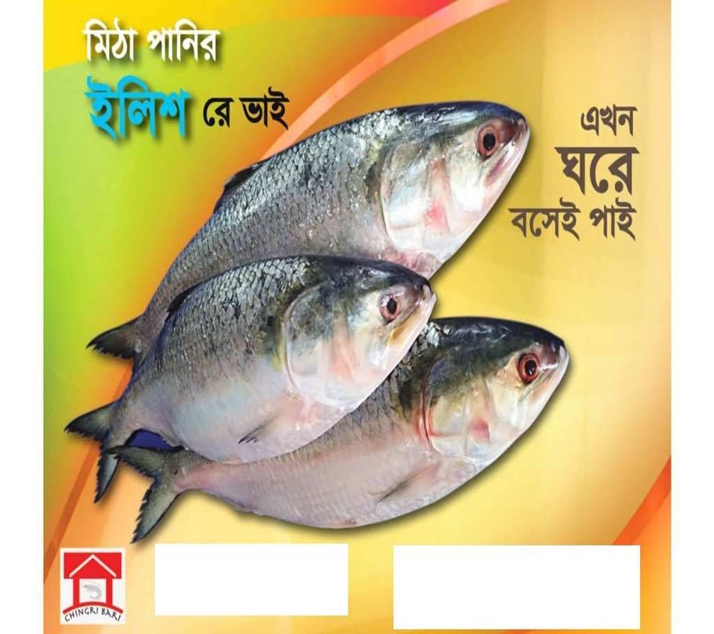 Hilsha Fish River Fresh 1 kg