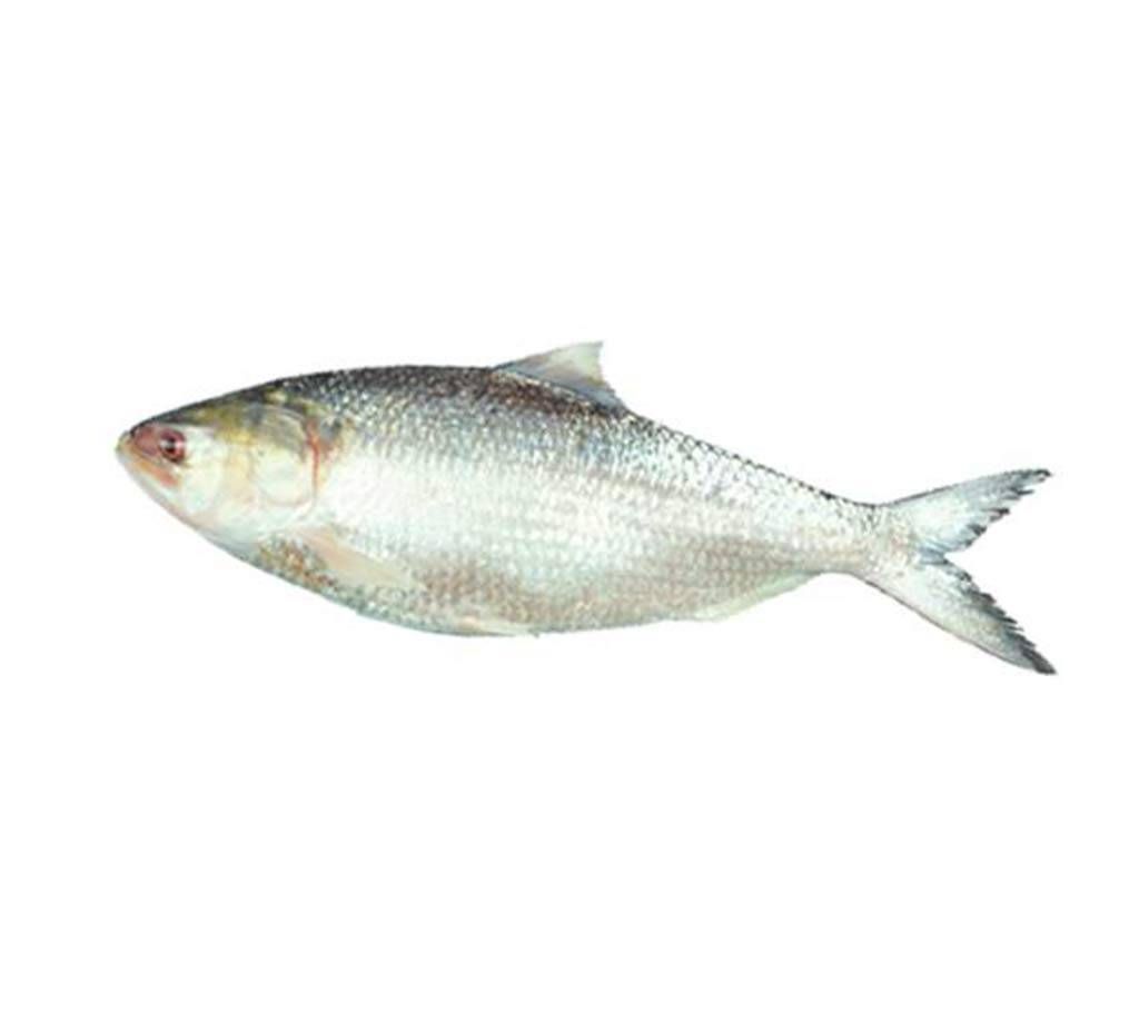 ilish fish- 600 gram 