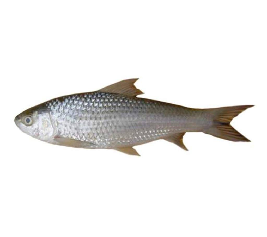 bata fish- 1 kg 