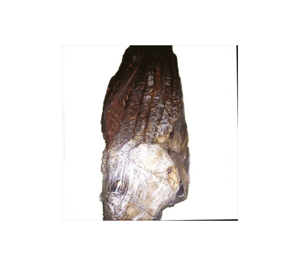 Non Organic Red Coral Dry Fish - 1 kg