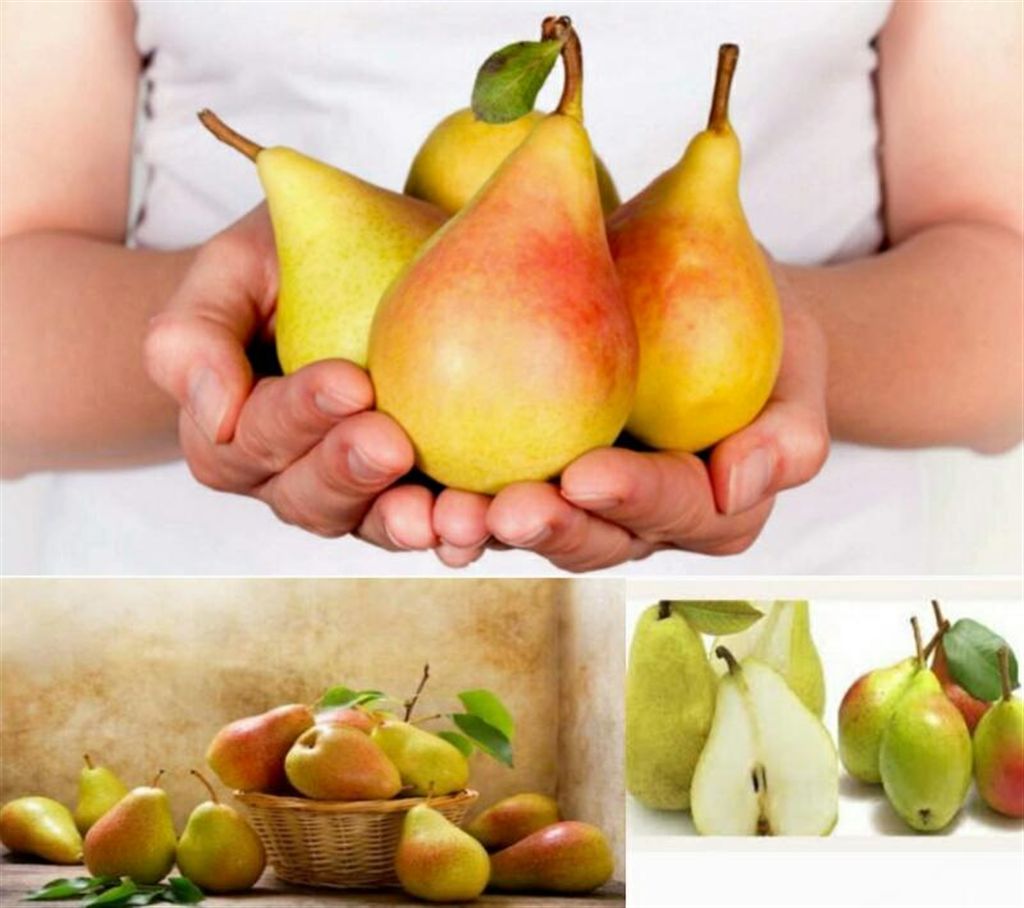 Pears 1 kg - (Thailand)
