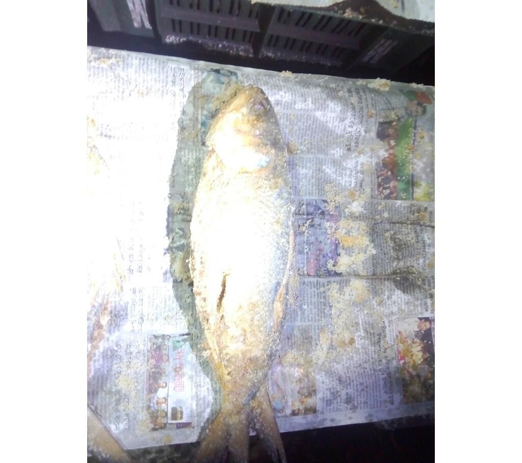 sutki nona elish dry fish
