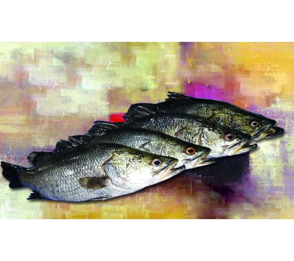 Koral 1 kg