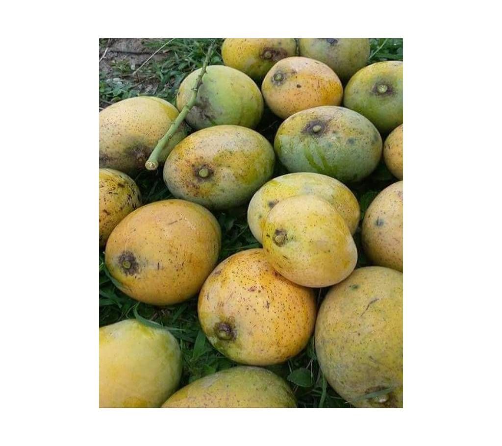 Langra aam (Rajshahi-01) - 10 kg