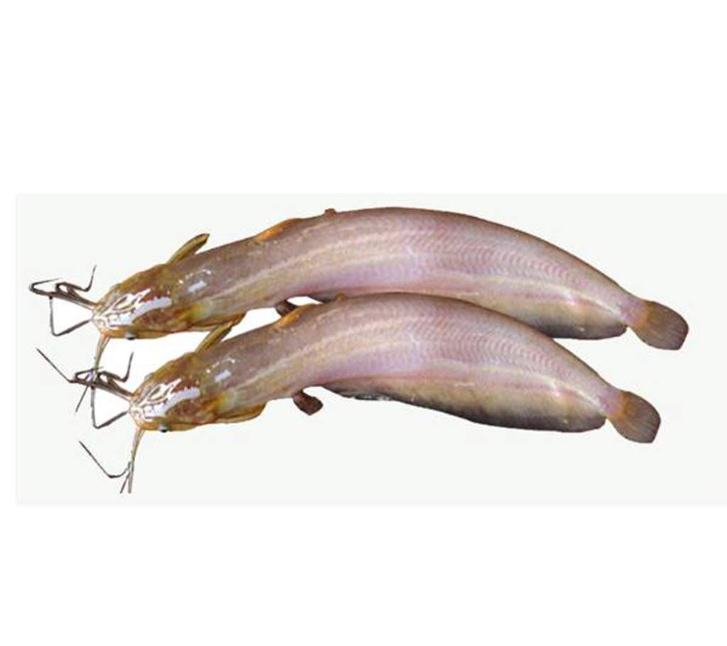 shing fish- kg 