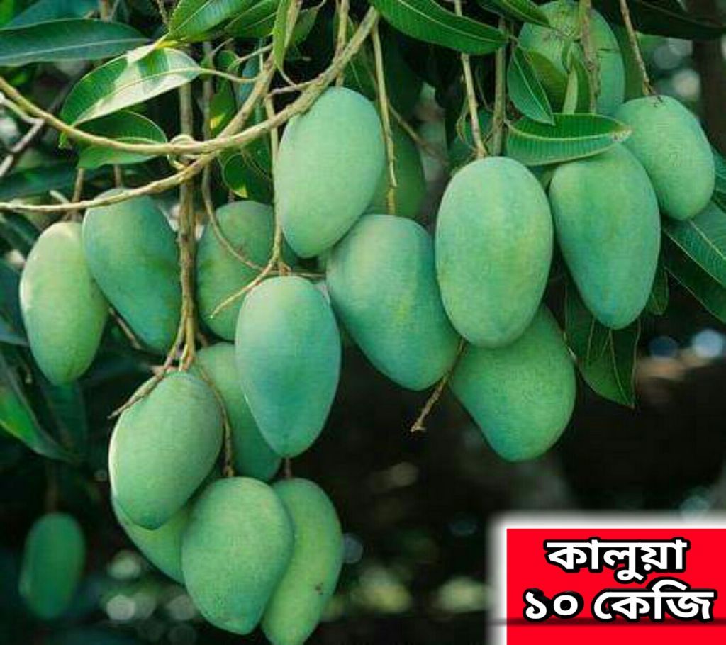 Kaluya Mango 10 Kg