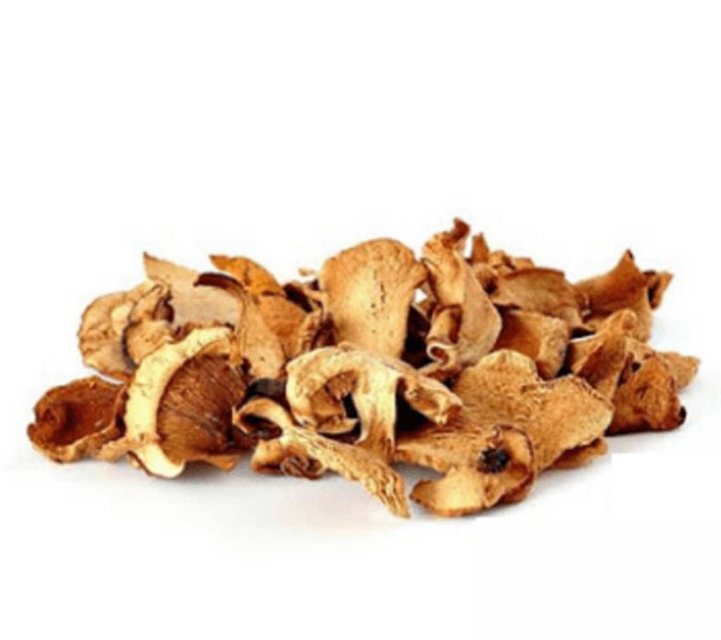 dried mushroom