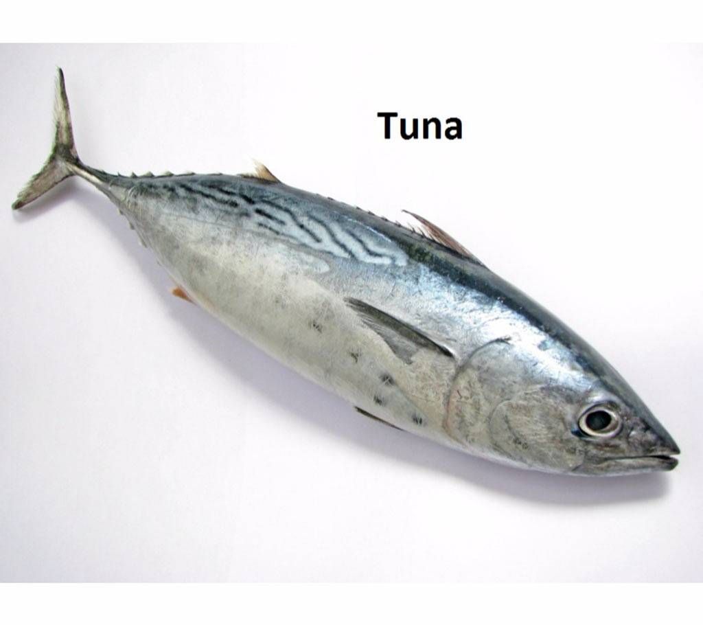 Tuna fish (1 kg)