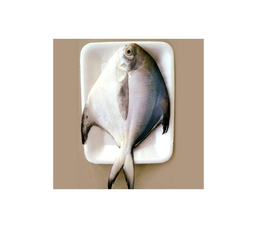 Rup Chanda Big perKG 3-4 PCS