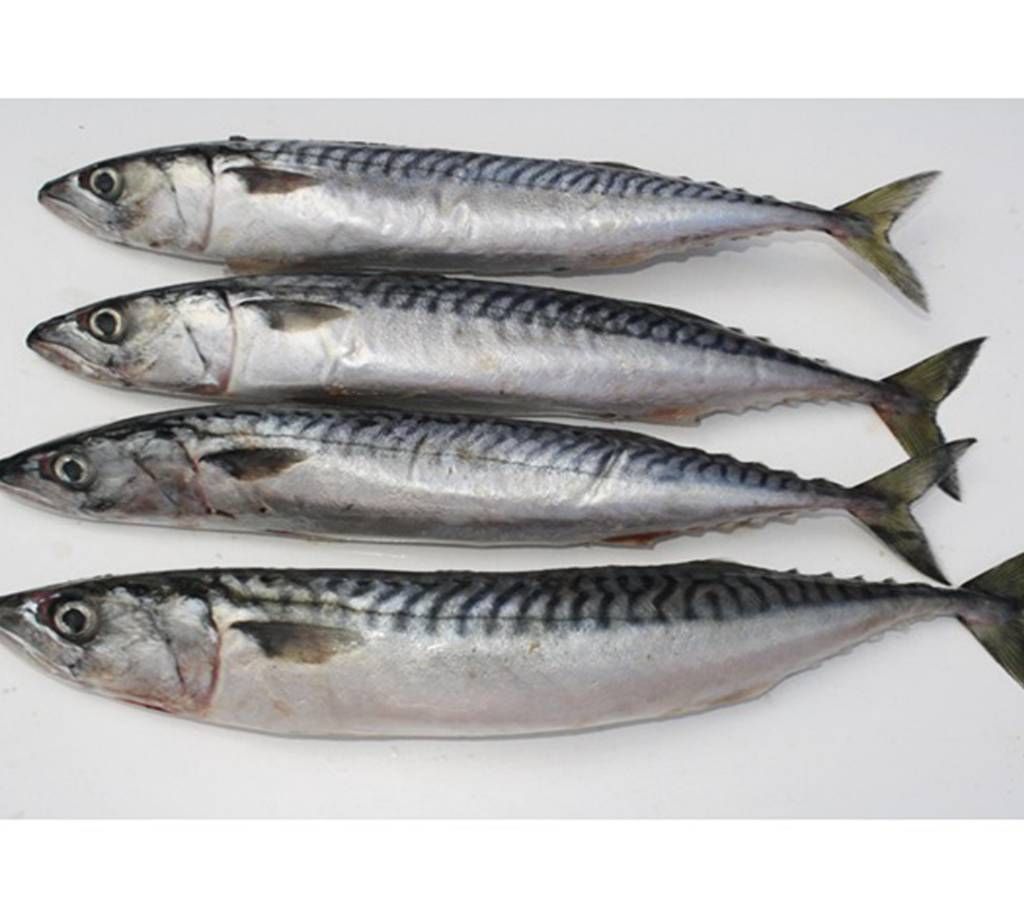 Surma fish (Sea) 1kg+