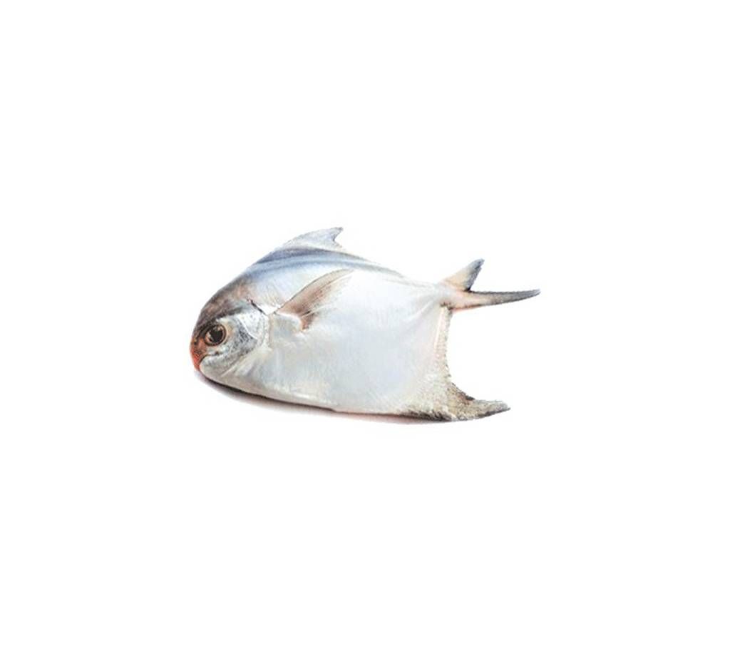 Rup Chanda Big per KG 7-8 PCS