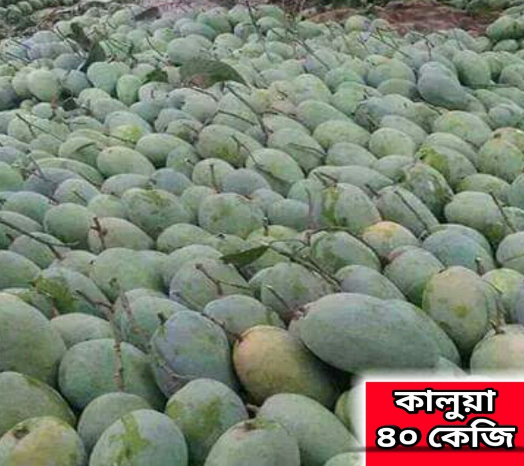 Kalua Mango 40 Kg