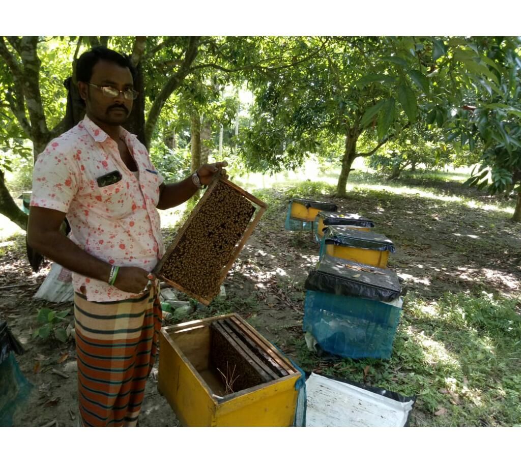fresh honey
