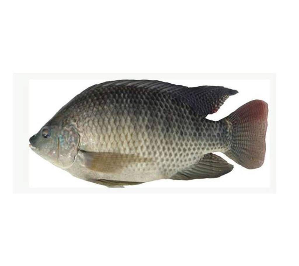 telapia fish- 1 kg