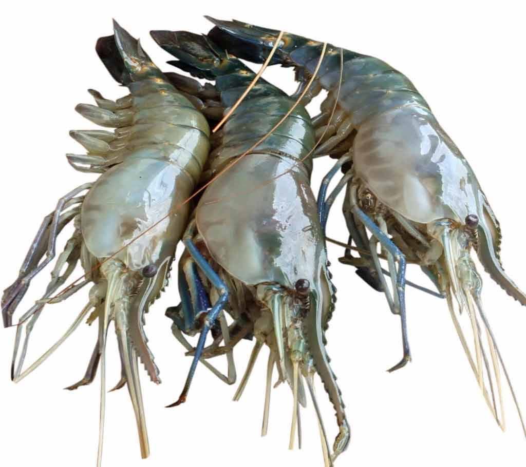 Golda Chingri (1 kg)