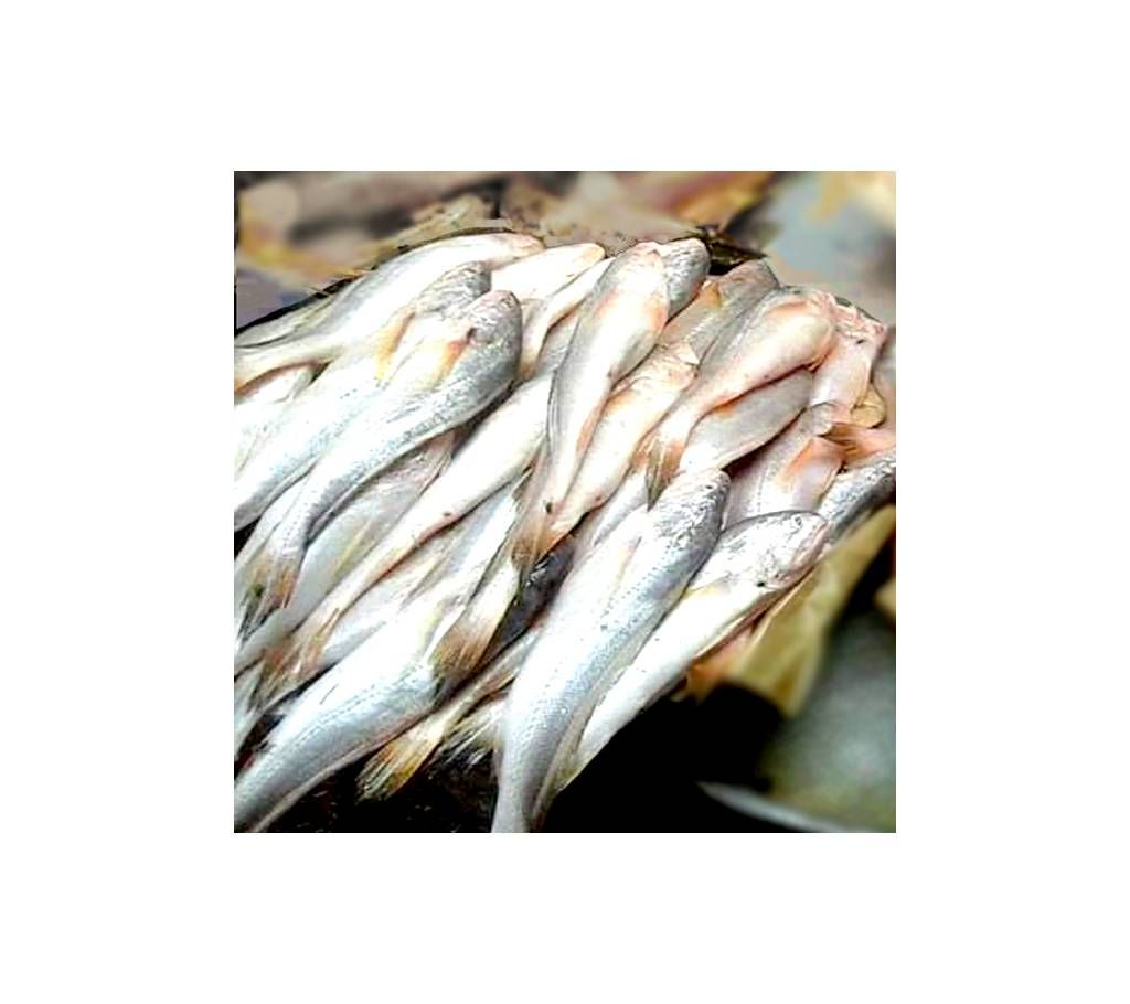 River Powa Medium 2kg 