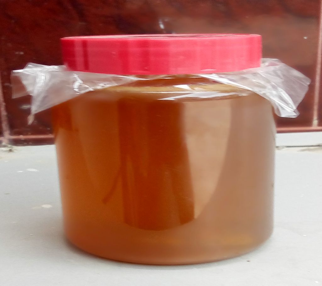 Sundarban Natural Raw Honey