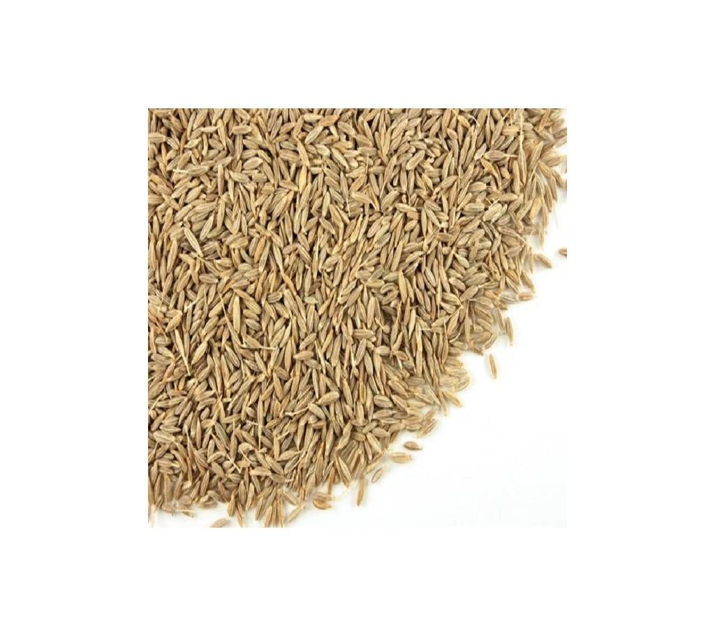Cumin Seed