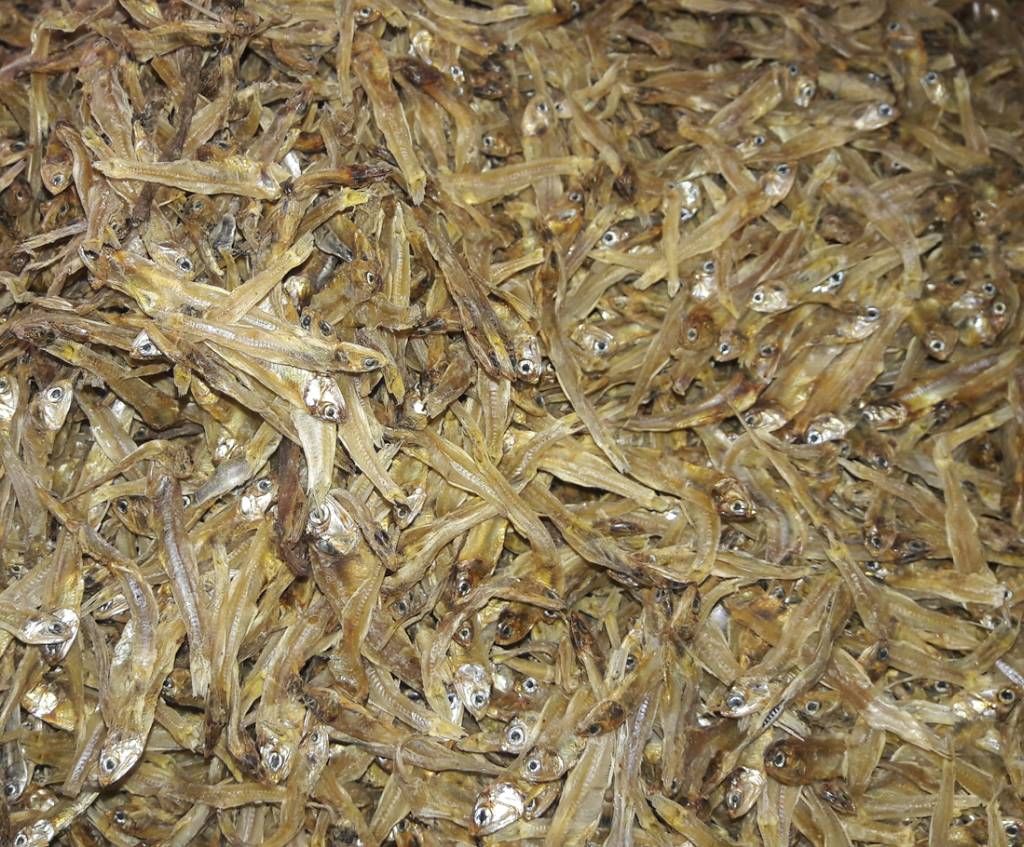Kachki Shutki - 1 kg