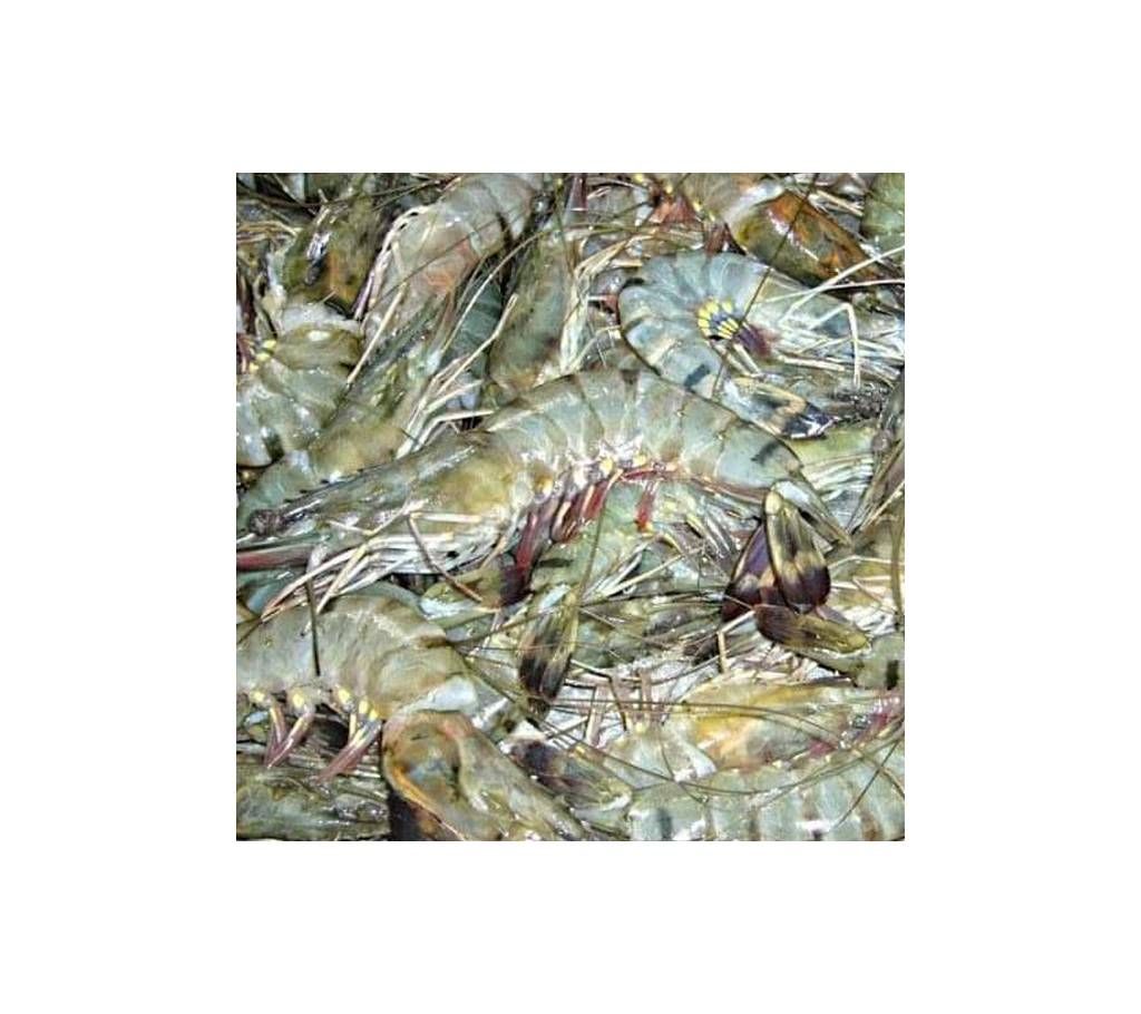 Golda Prawn (River)