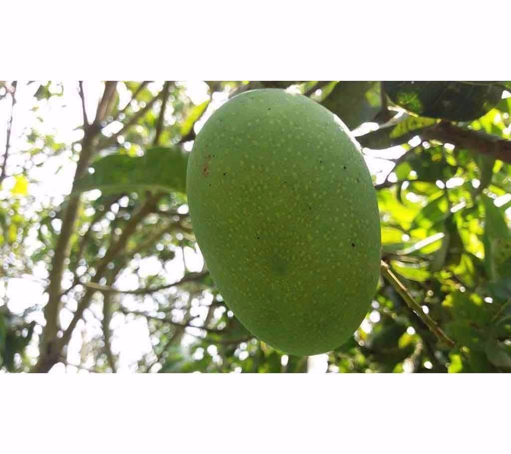 Gopal Bhog Mango From Chapai Nawabganj (15 KG)