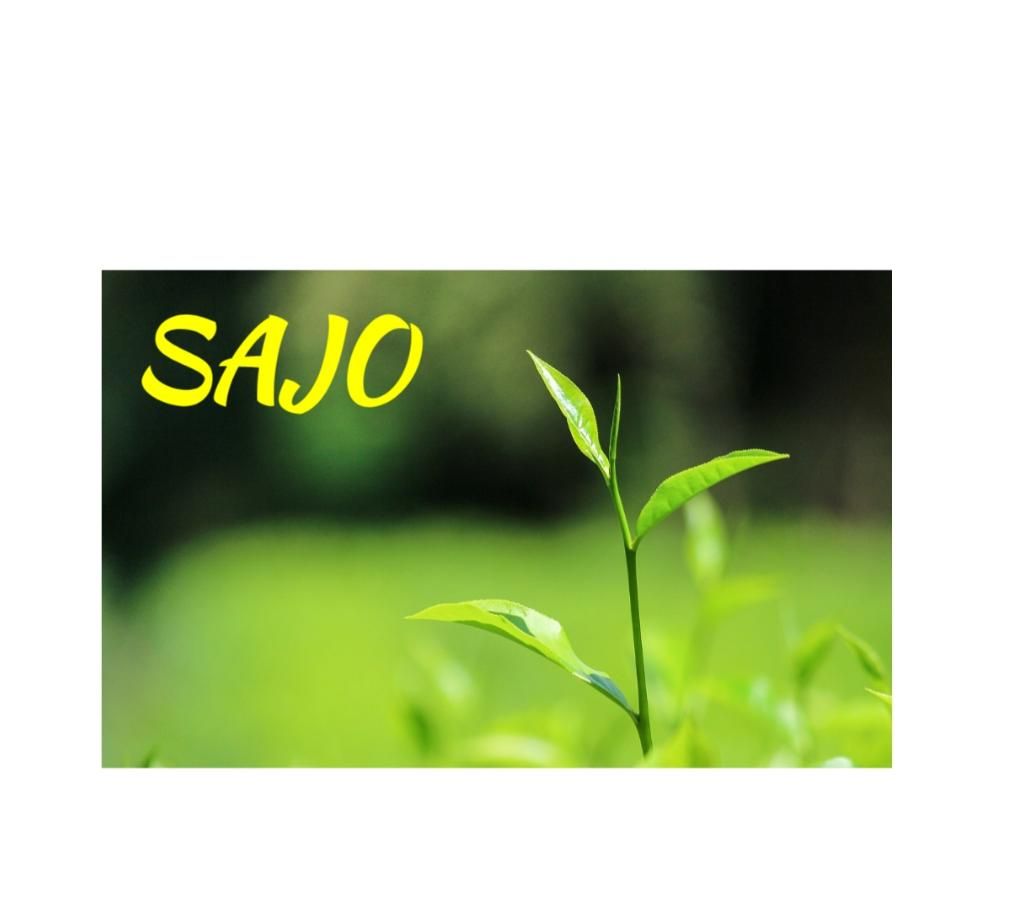 Sajo tea