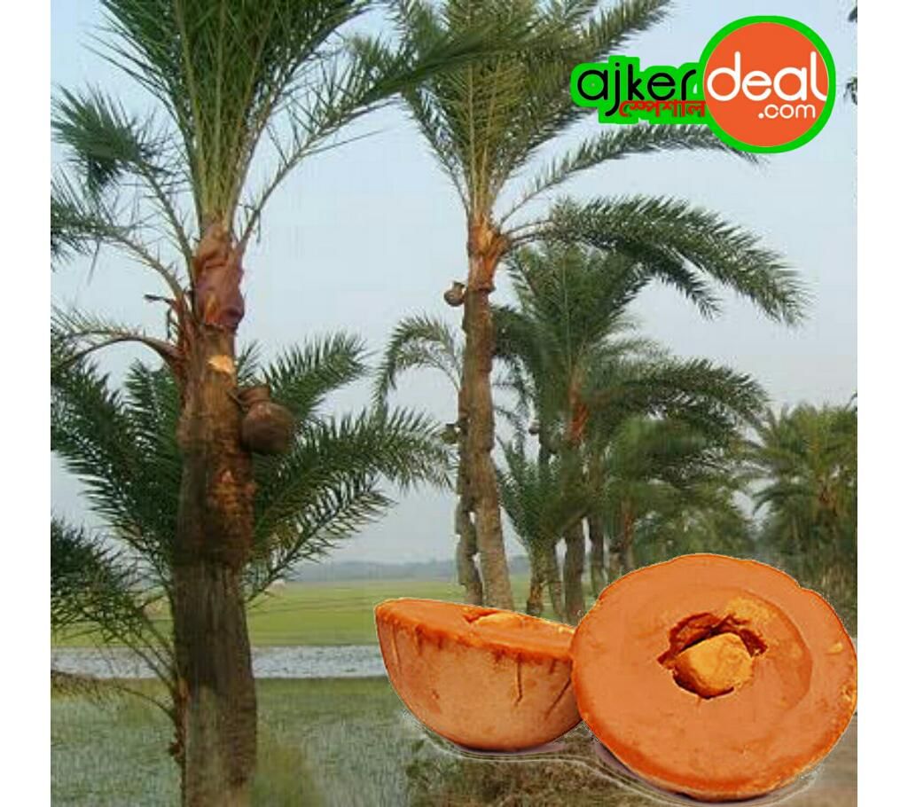 Patali Date Molasses 7 Kg