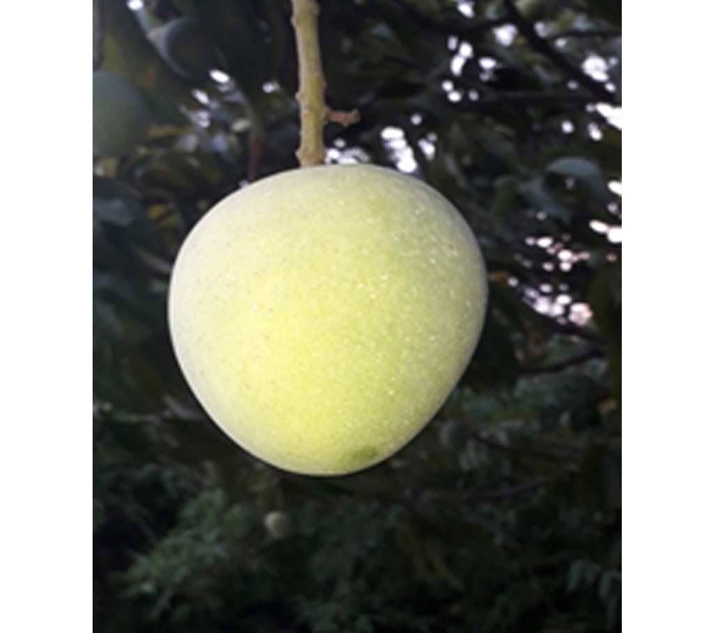 GopalVog mango (Rajshahi-02)- 10 kg