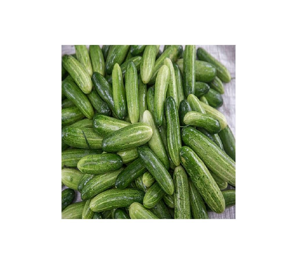 FRESH LOCAL CUCUMBER
