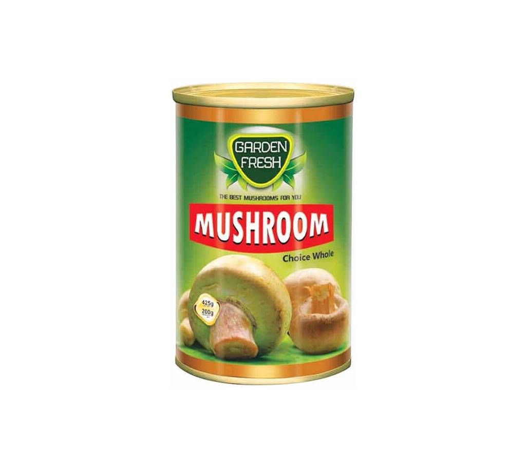 Garden Fresh Mushroom 425gm Can - Two Can Combo - China