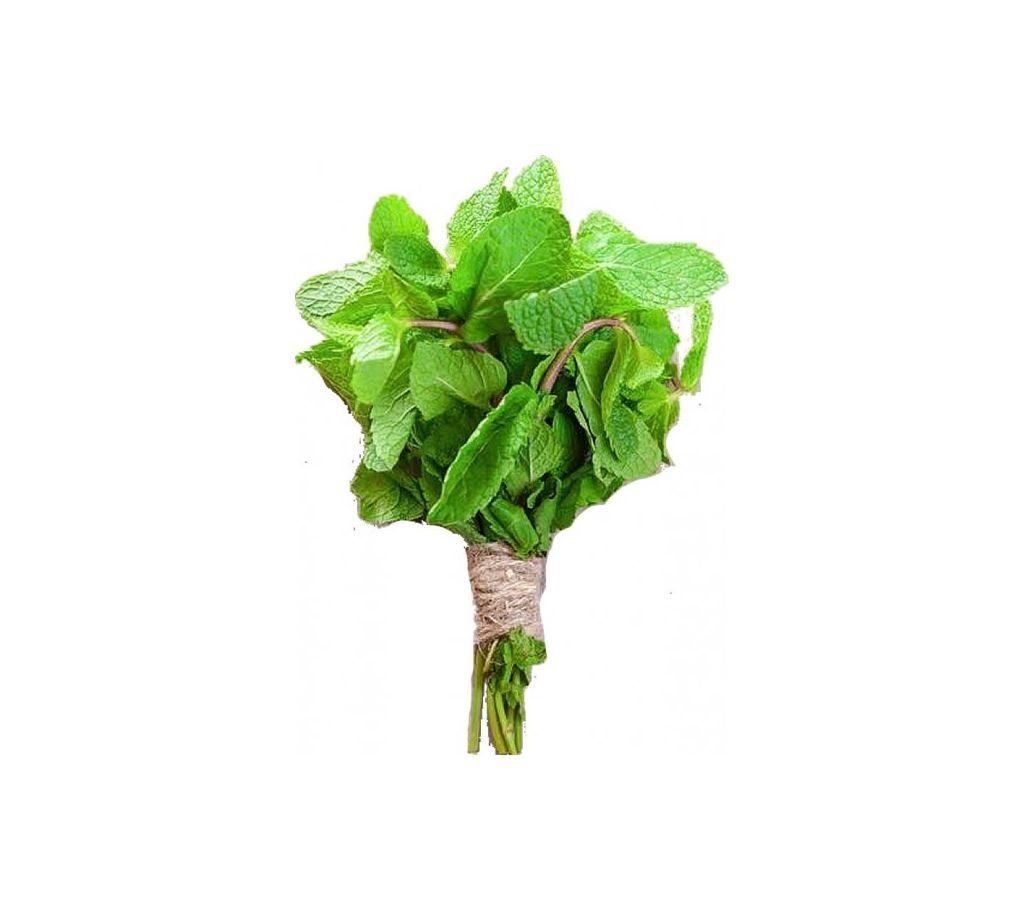Mint Leaves ( Pudina Pata )  1 bundle