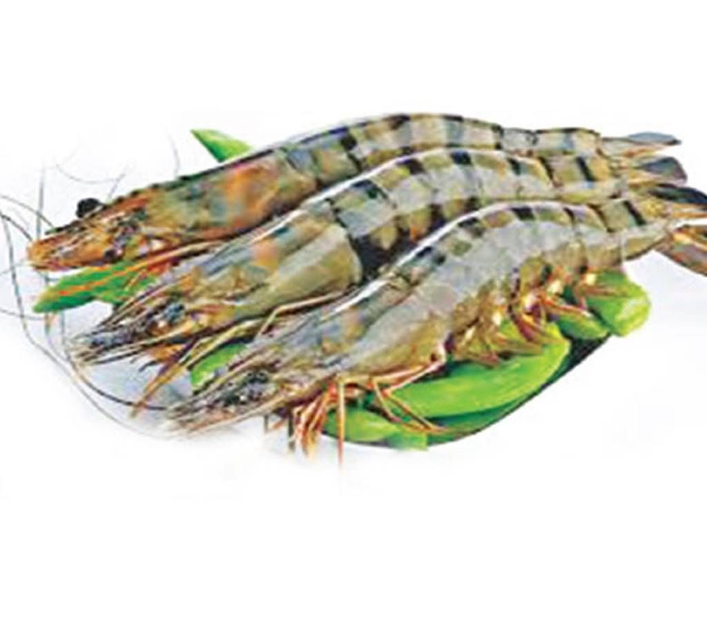 Bagdha Prawn  (River)