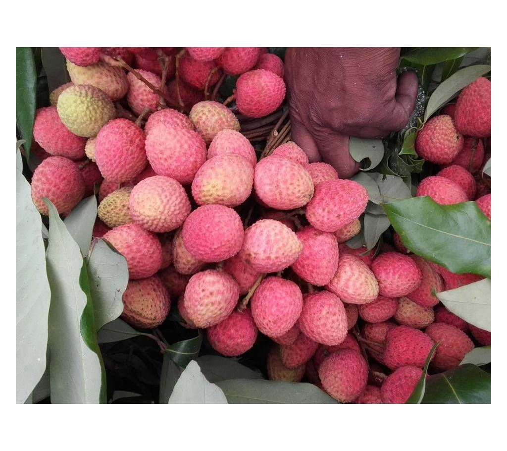 Premium Bombai Litchi( 1000 pc)