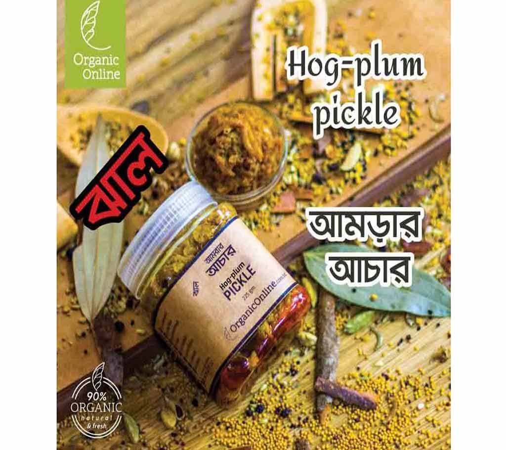 HOG-PLUM PICKLE-Hot (450 gm)
