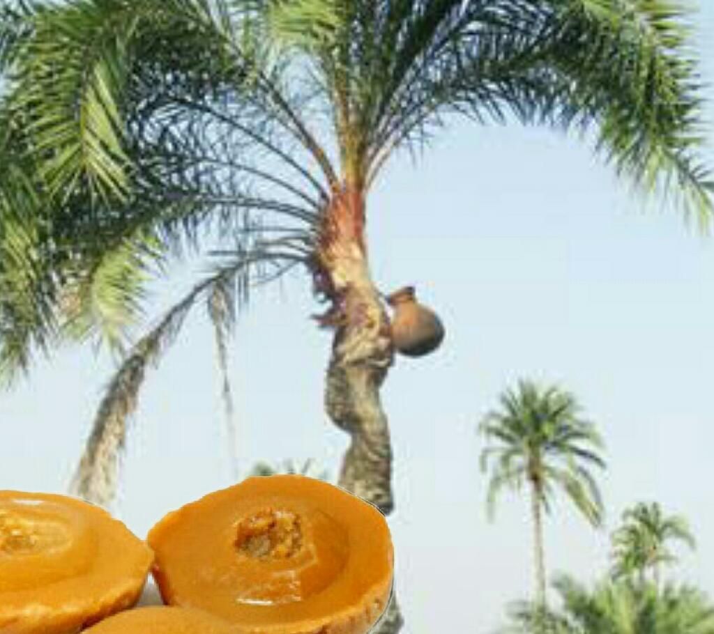 Patali Date Molasses 10 Kg