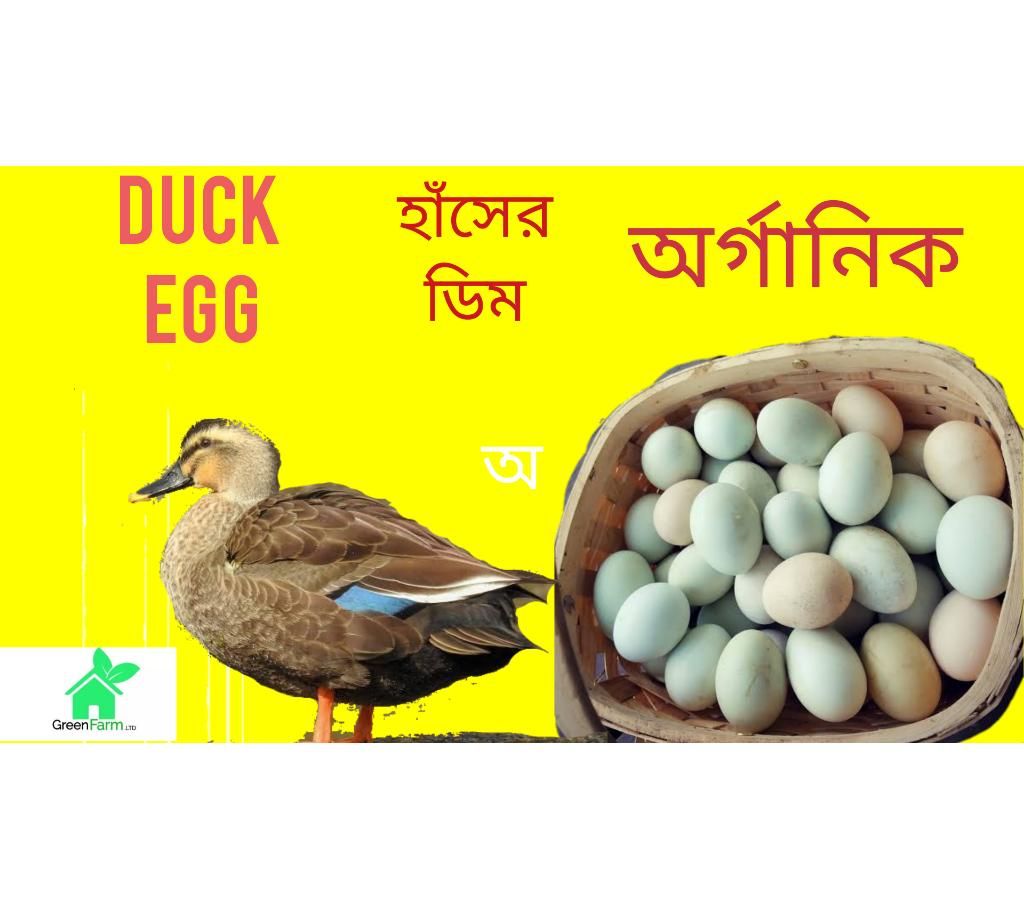 Duck Egg