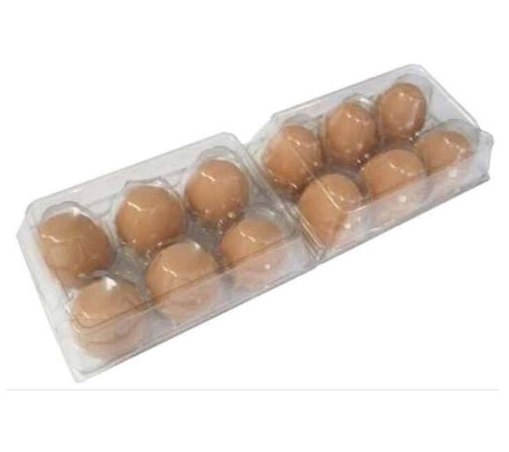 boiler farm chicken egg