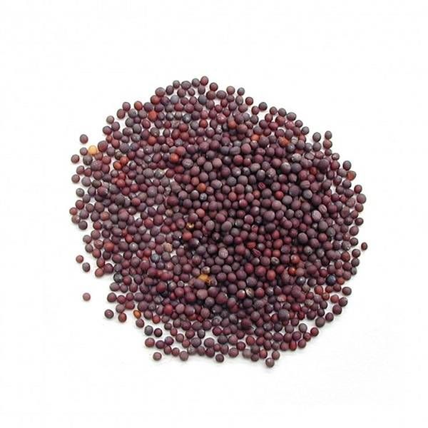 Mustard seeds Red 500g