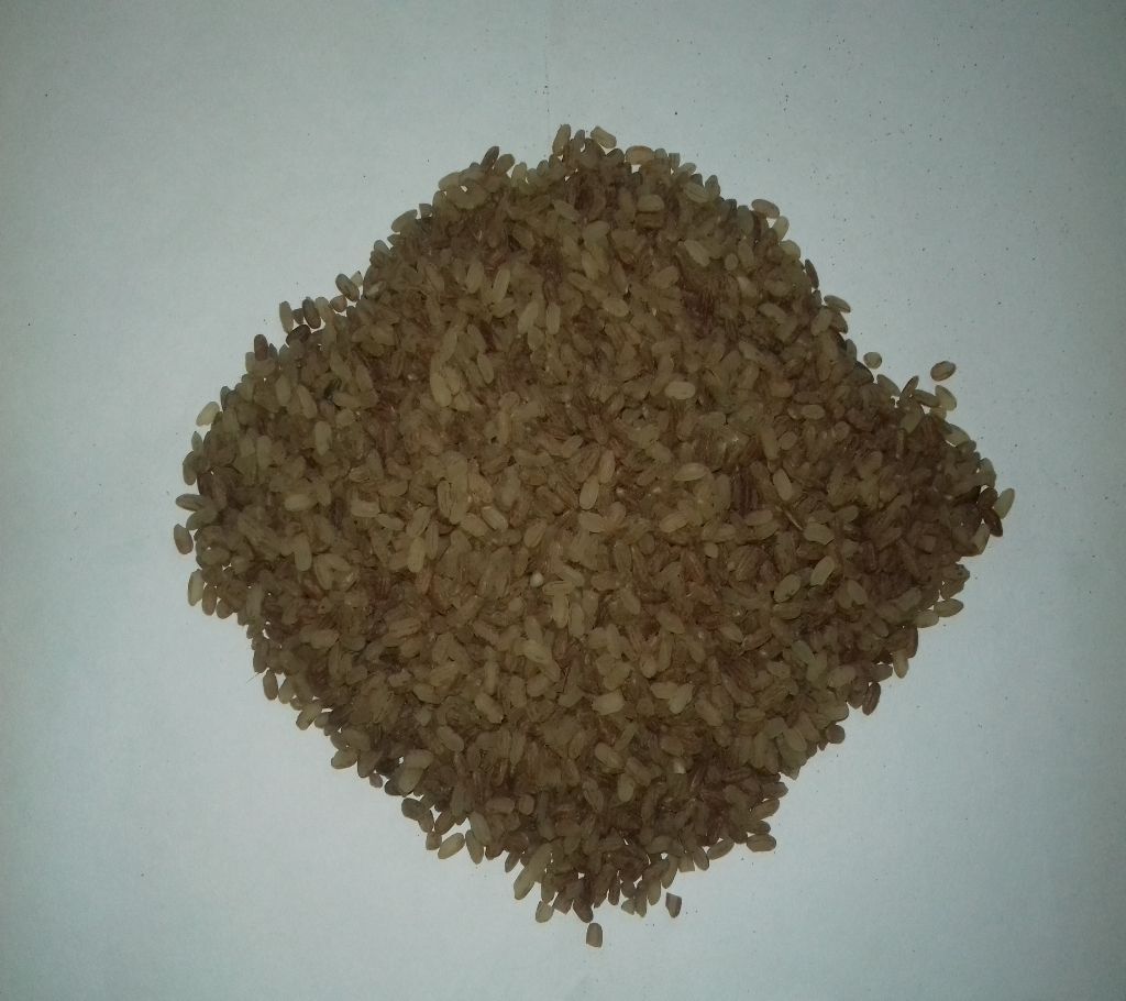 Aaush Organic Brown Rice