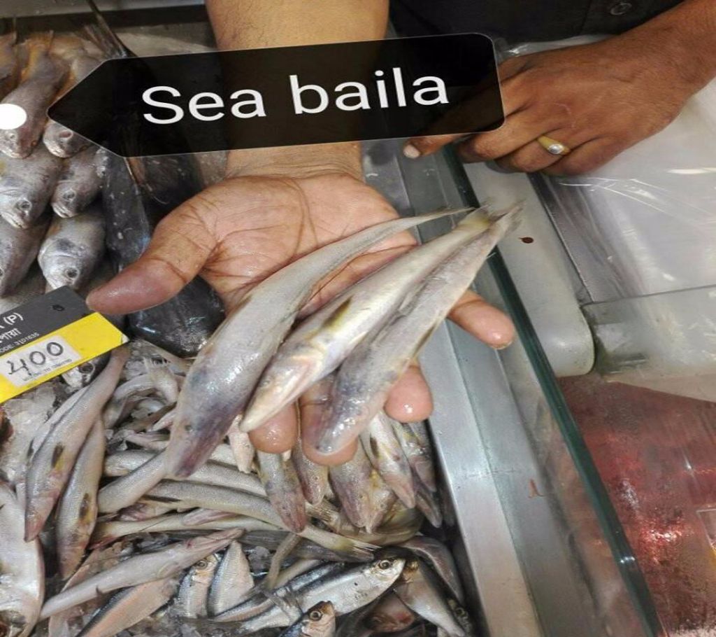 Sea Baila (1 kg)