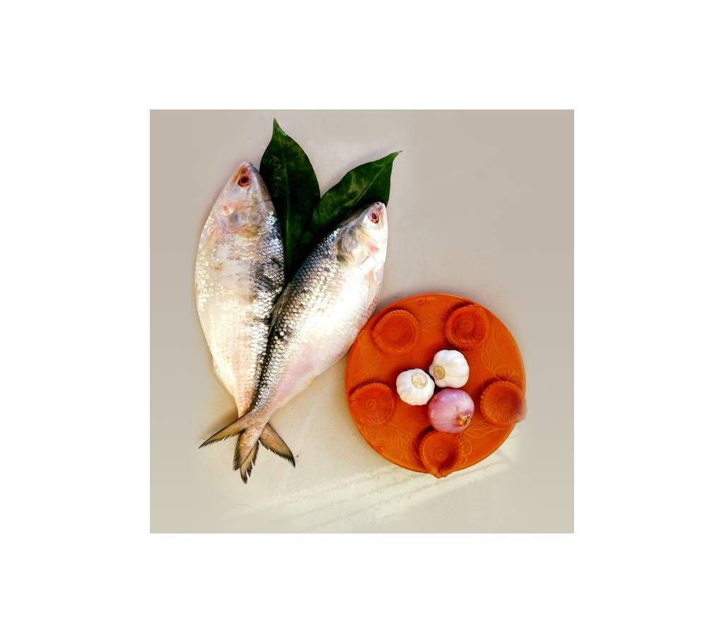 Hilsha fish 200Gm+