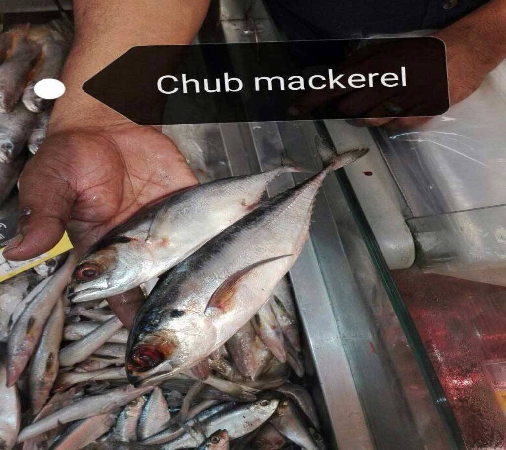 Chub Mackerel fish (1 kg)