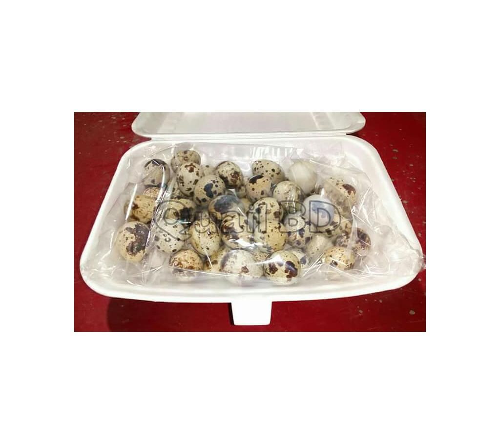 Quail Egg (50 pcs)
