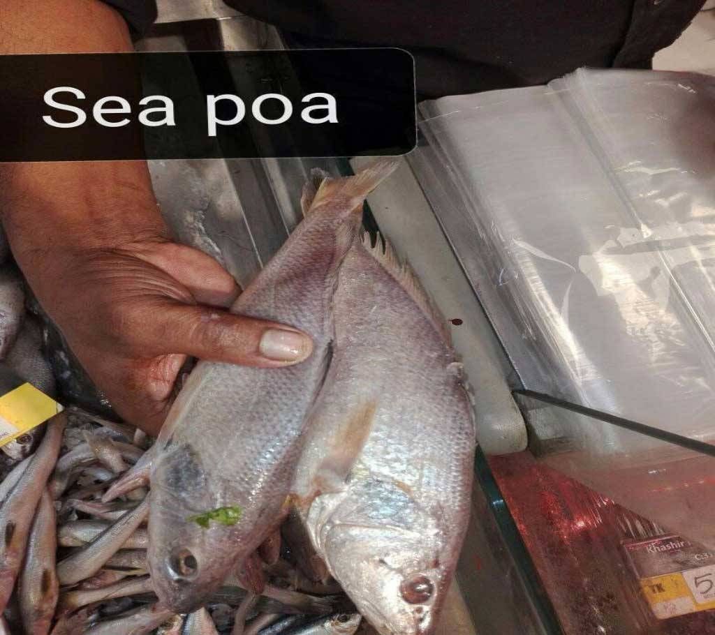 Sea Poa fish (1 kg)