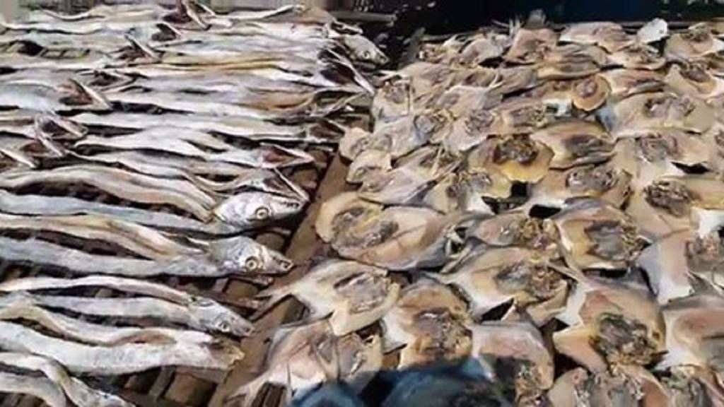 Organic Loitta Dry Fish