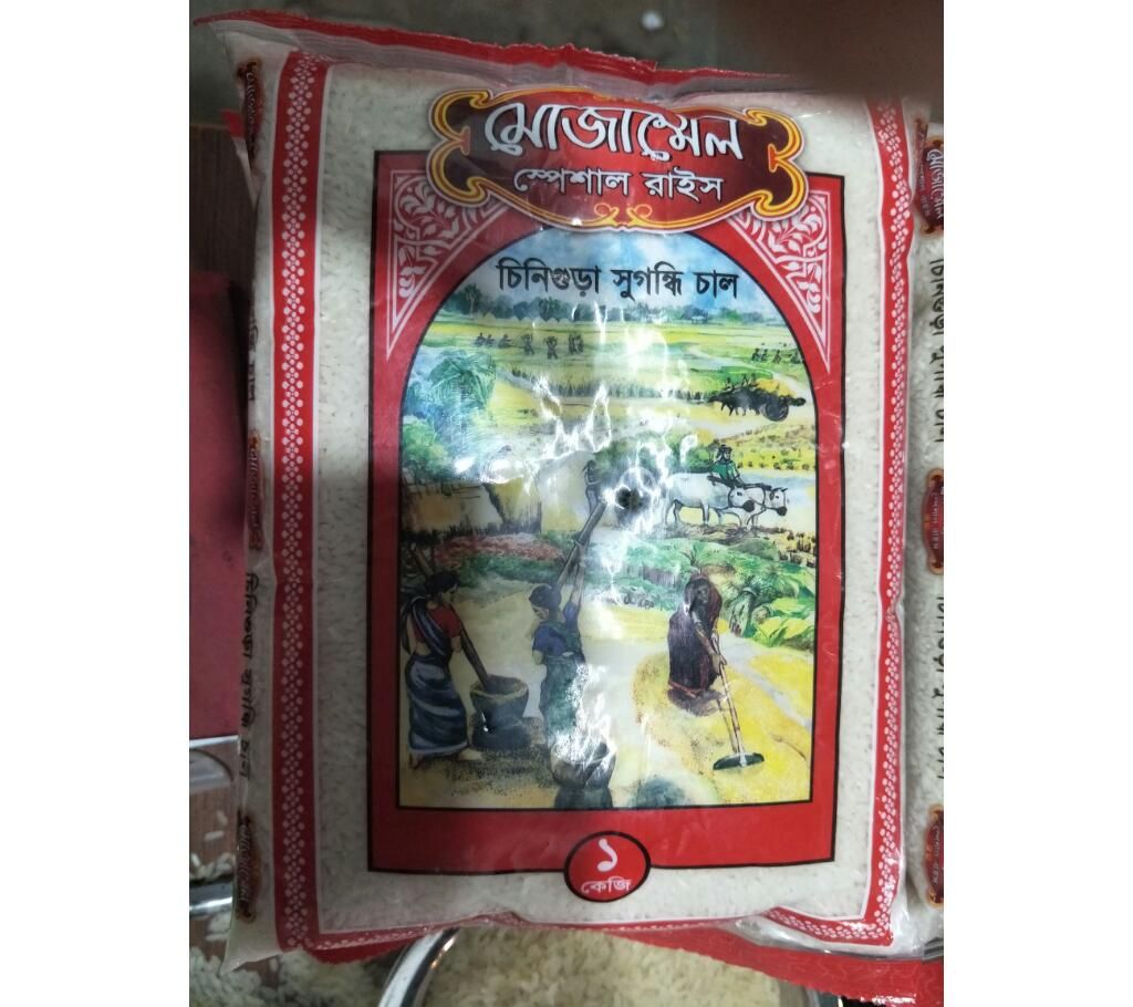 Mozammel