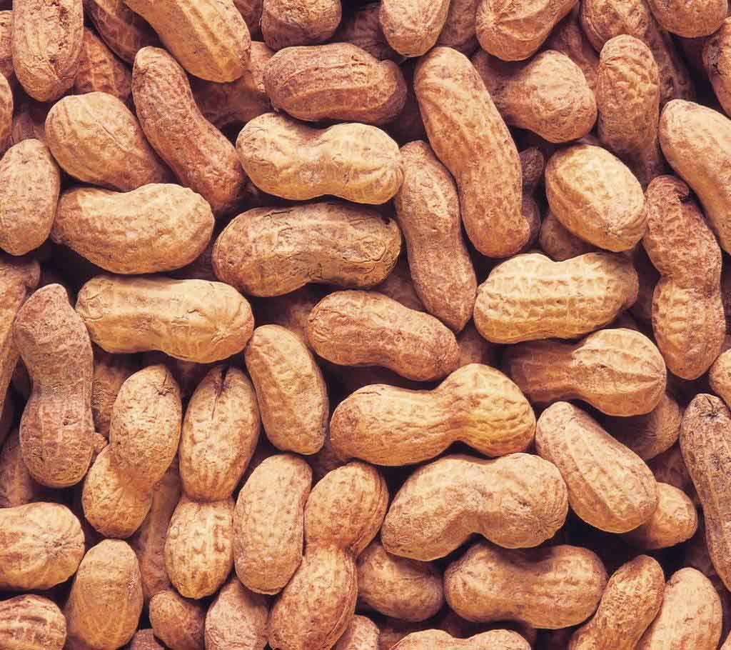 peanut